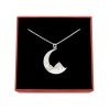 Naszyjnik góry księżyc + pudełko